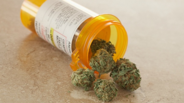 Customer Reviews: Canada’s Most Reliable Online Weed Dispensaries