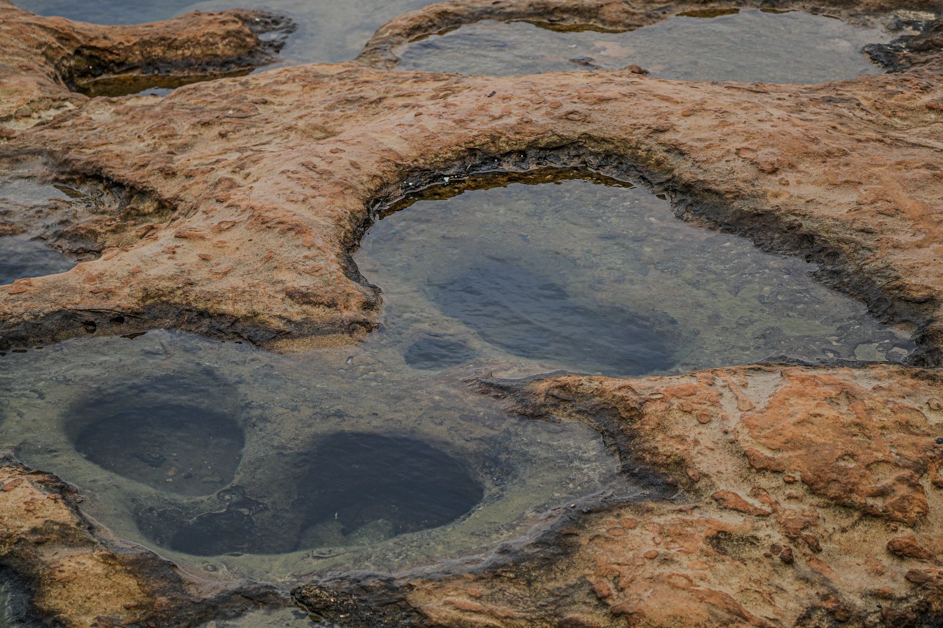 Explore unique rock formations with shallow water pools in New Taipei City, Taiwan. — Pick the Perfect Bouquet from our Flori