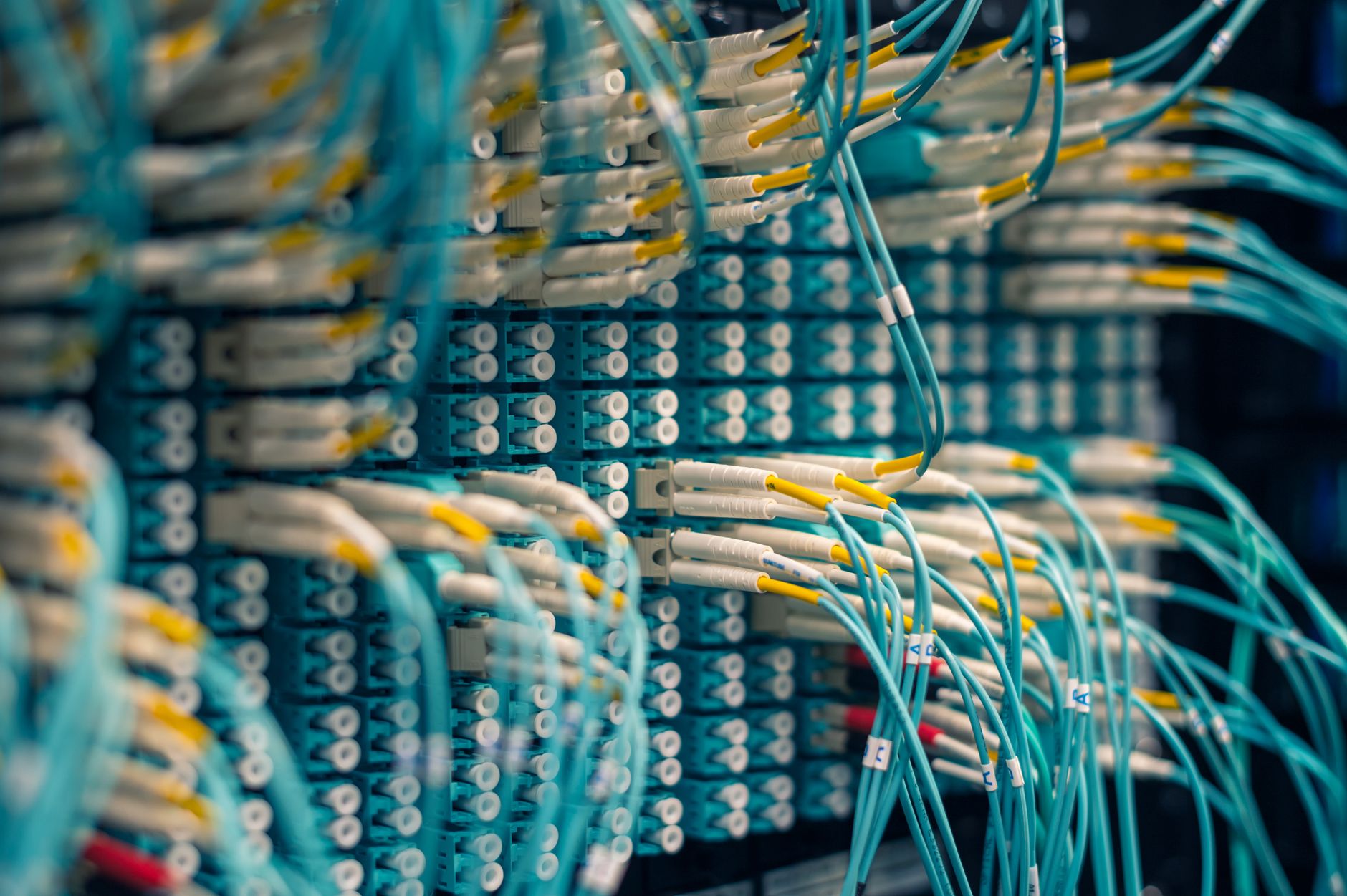 Closeup of rows of tiny round white electrical connectors and long thin blue wires in data center — The Pros and Cons of Buyi